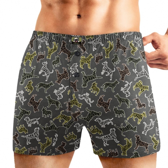 Клевер Трусы мужские CLE MBX450441 (AW25/26 Спайк) коричневый/св.бежевый