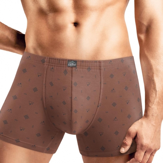 Клевер Трусы мужские CLE MSH450121 (AW25/26 Зов природы) коричневый/т.серый