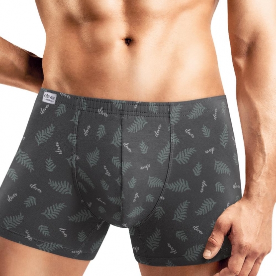 Клевер Трусы мужские CLE MSH450211 (AW25/26 Зов природы) св.зелёный/св.серый