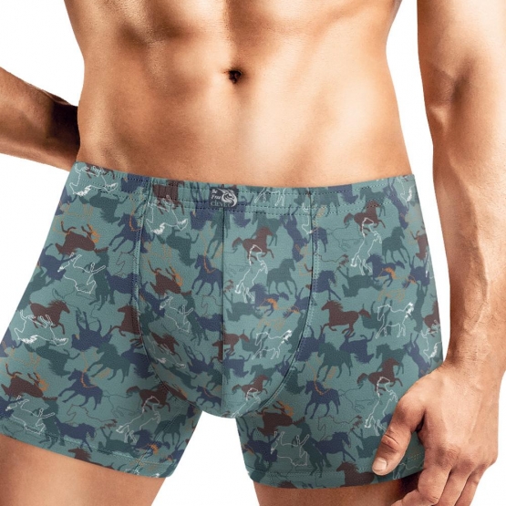 Клевер Трусы мужские CLE MSH451531 (AW25/26 Аллюр) т.бирюзовый/белый