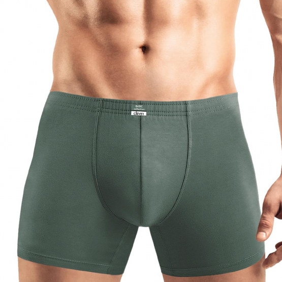 Клевер Трусы мужские CLE MSHL608710/8maxi т.зелёный