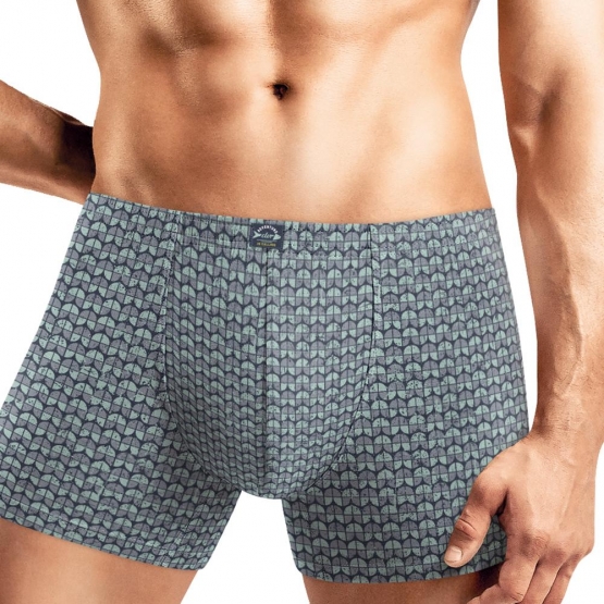 Клевер Трусы мужские CLE MSH451711 (AW25/26 Зимняя рыбалка) св.зелёный/серый