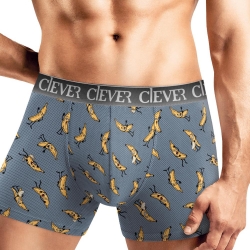 Клевер Трусы мужские CLE MSH451813 (AW25/26 14 февраля) серый/т.жёлтый