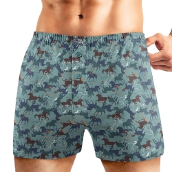 Клевер Трусы мужские CLE MBX451531 (AW25/26 Аллюр) т.бирюзовый/белый