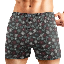 Клевер Трусы мужские CLE MBX451541 (AW25/26 Аллюр) чёрный/бордовый