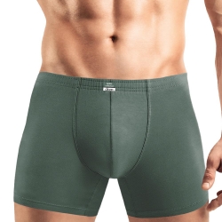 Клевер Трусы мужские CLE MSHL608710/8maxi т.зелёный