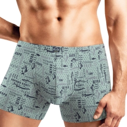 Клевер Трусы мужские CLE MSH451731 (AW25/26 Зимняя рыбалка) св.зелёный/т.серый